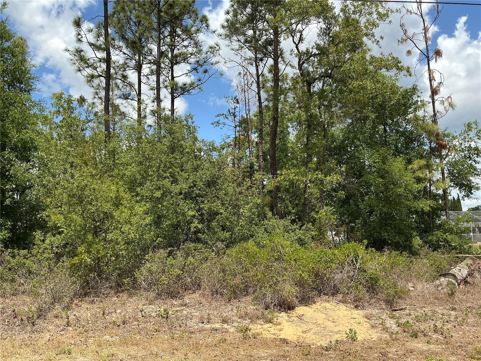 Situated in the heart of Summerfield, this 0.22 residential lot measures 72 by 126 feet and is located outside the flood zone with no wetlands and no endangered species. Great Lot for Development! Homes All Around. Nice Lot to build your dream Home close to the Villages with no HOA!! If you're looking for a relatively peaceful place to live, Summerfield is worth considering. Close to shopping and restaurants in The Villages, Belleview and Ocala. There are quite a few homes nearby, so you will not fell Summerfield is also home to Harbour View Elementary School and Lake Weir Middle School. The Villages Mulberry Shopping Plaza where there is a Publix, resturaunts, medical offices, convenience store and VA Clinic just minutes from The Villages.