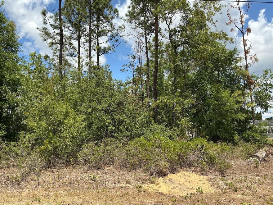 Situated in the heart of Summerfield, this 0.22 residential lot measures 72 by 126 feet and is located outside the flood zone with no wetlands and no endangered species. Seller financing available, Low down payments, flexible terms up to 6 years, and fixed monthly payments. Quick approval with no banks. Build equity you can later use to build your home with us. Try our payment calculator online or call us to learn more about our financing options. reat Lot for Development! Homes All Around.  Nice Lot to build your dream Home close to the Villages with no HOA!!  If you're looking for a relatively peaceful place to live, Summerfield is worth considering.  Close to shopping and restaurants in The Villages, Belleview and Ocala. There are quite a few homes nearby, so you will not fell   Summerfield is also home to Harbour View Elementary School and Lake Weir Middle School. The Villages Mulberry Shopping Plaza where there is a Publix, resturaunts, medical offices, convenience store and VA Clinic just minutes from The Villages.