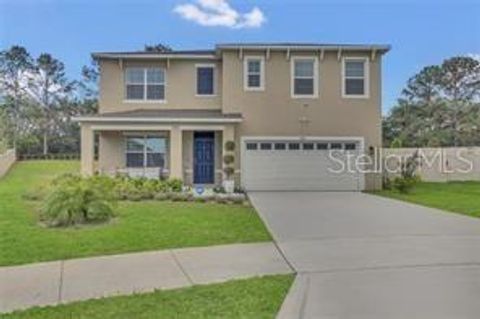 Photo of 1541 Tali Lane, Mount Dora, FL 32757 (MLS # S5140679)