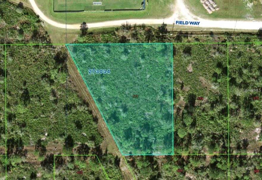 1.76 Acres - Near Central Lakes Estates, this expansive 1.76 acre lot is surrounded by county land and Warner College. This land could be a key piece of land for future projects. Flood Zone X which is non Flood. Zoning description - Rural Conservation.