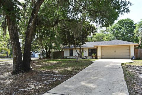 430 E LANSDOWNE AVENUE ORANGE CITY FL 32763