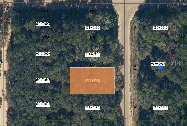 Photo 1 of 5 — ANNETTE AVENUE, INTERLACHEN, FL 32148