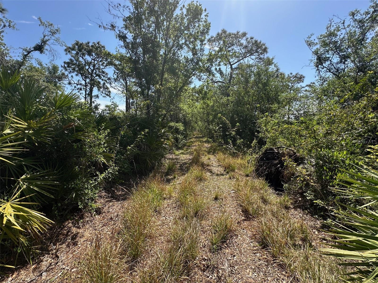 WATERBURY TRACTS CONTINUED - Land