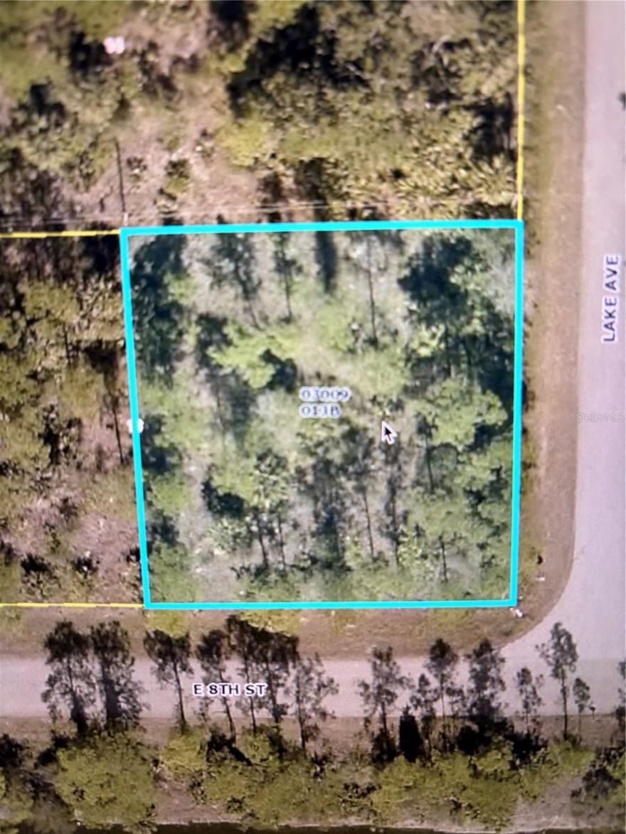 Go and show! What an amazing opportunity to build your dream home or investment property on this 1/4 acre corner vacant lot! Located in Lehigh Acres, this parcel offers the perfect blend of privacy, space, and convenience. Don’t miss this chance to own land in one of Florida’s  growing communities
