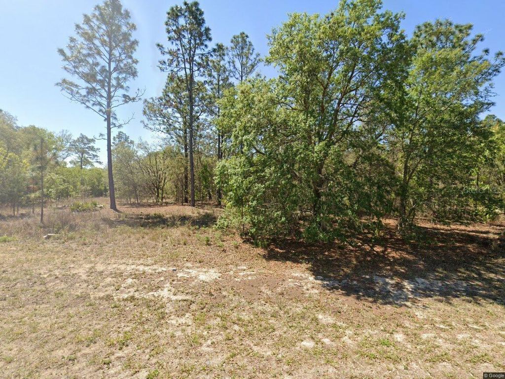 Photo of 1816 W Hampshire Boulevard, Citrus Springs, FL 34434 (MLS # TB8392311)