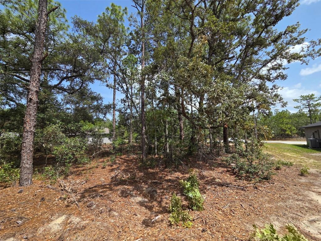 Photo of 1816 W Hampshire Boulevard, Citrus Springs, FL 34434 (MLS # TB8392311)