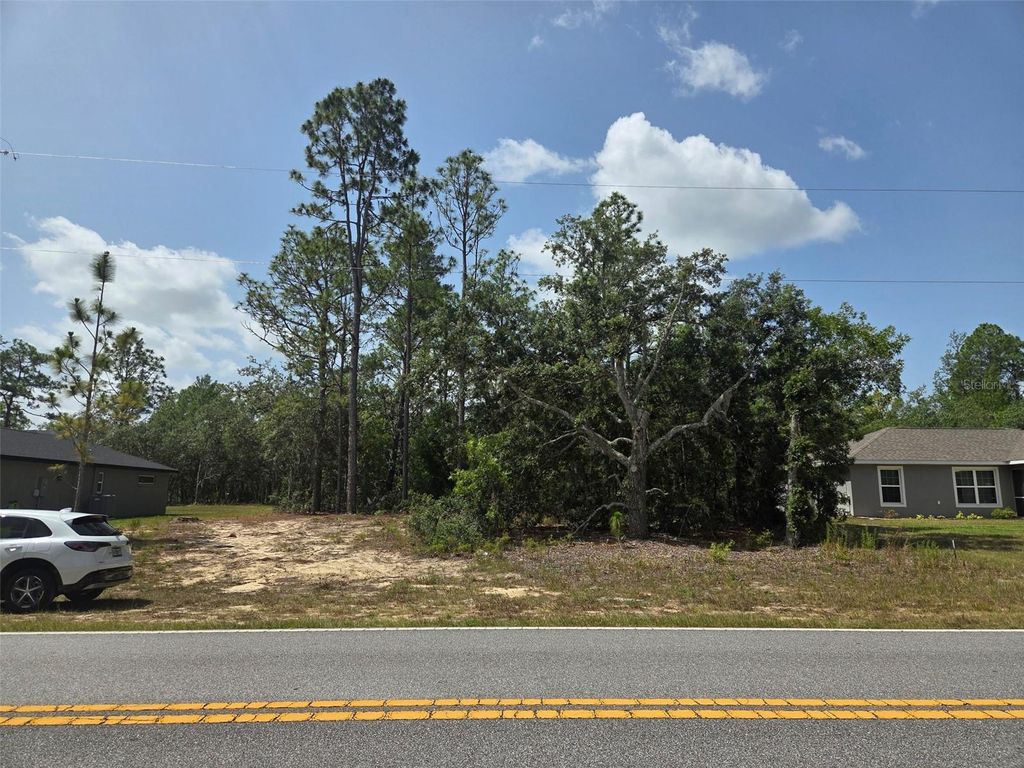 Photo of 1816 W Hampshire Boulevard, Citrus Springs, FL 34434 (MLS # TB8392311)