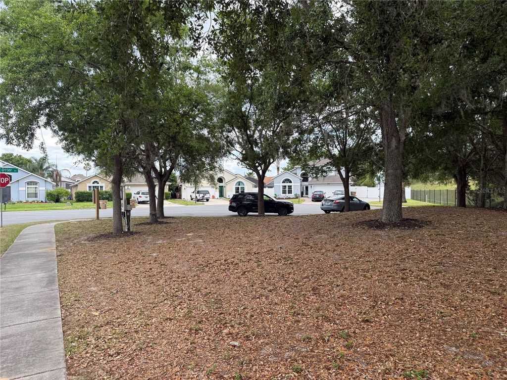 Photo of 8128 Yellow Crane Drive, Kissimmee, FL 34747 (MLS # O6402487)