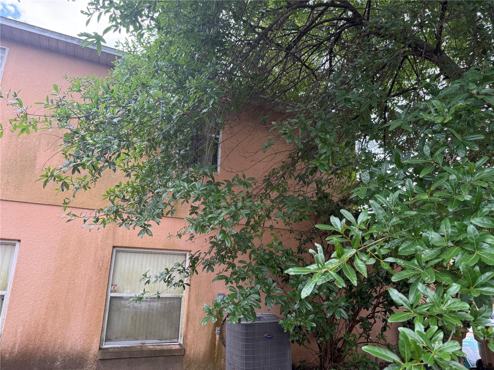 OAK ISLAND COVE - Residential