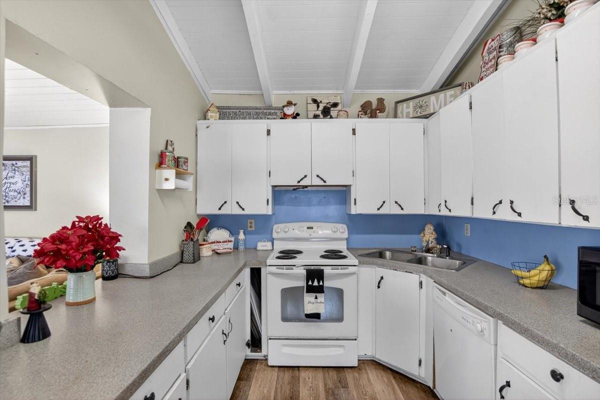 CITY ZEPHYRHILLS - Residential