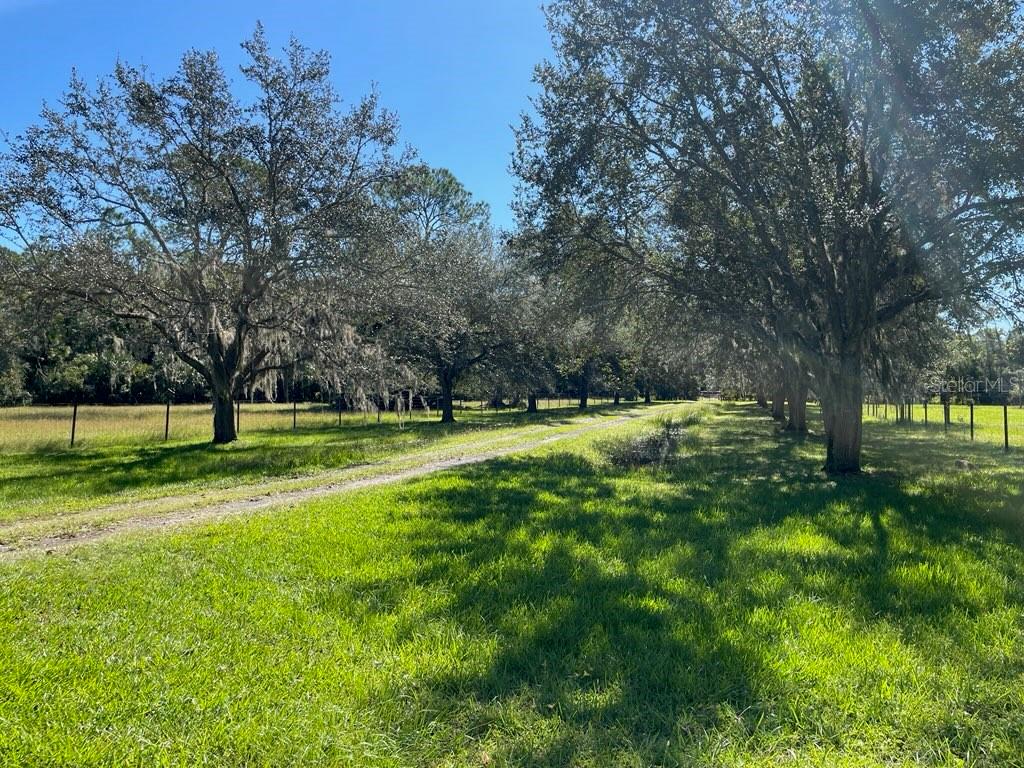 REBEL RUN - Residential