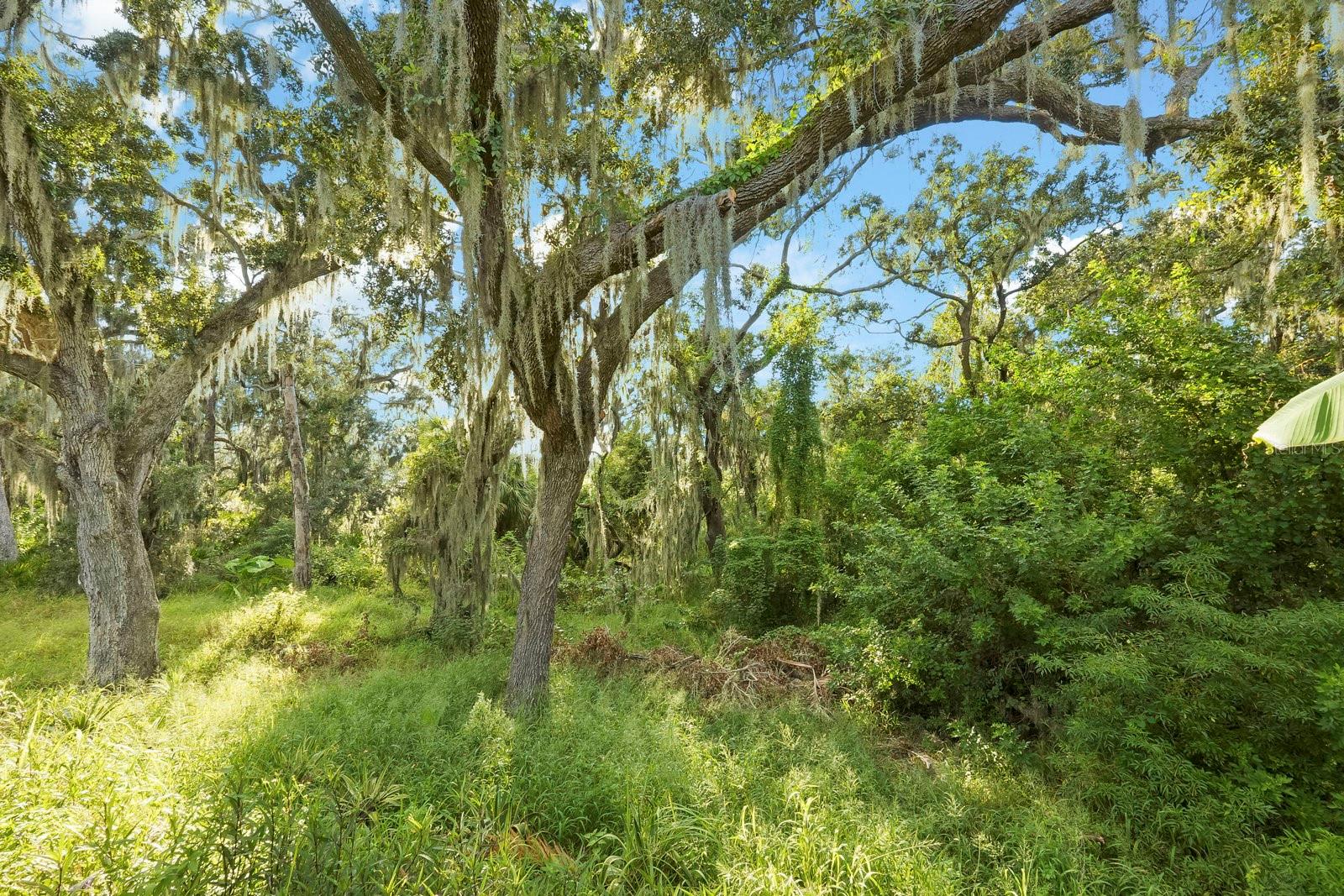 RESERVE AT SOUTH FORK PH 2 - Residential