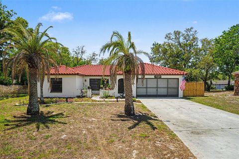 Photo of 8130 English Elm Circle, Spring Hill, FL 34606 (MLS # TB8499490)