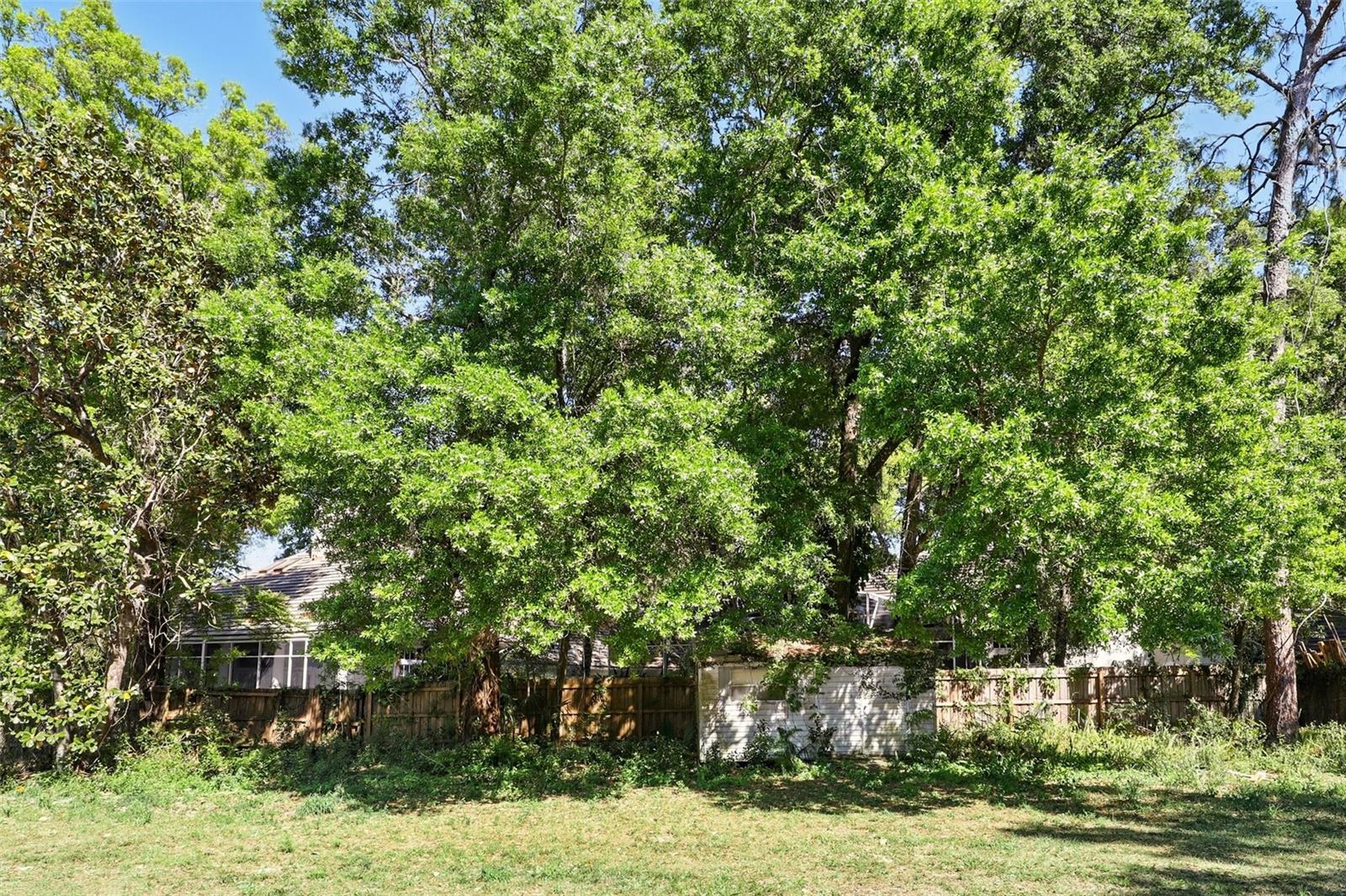 WEKIWA SPGS PARK REP - Residential Lease