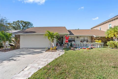 A home in TAMPA