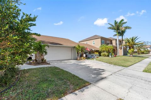 A home in TAMPA