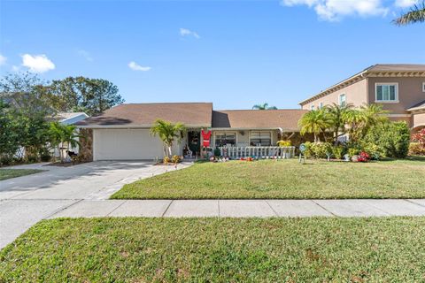 A home in TAMPA