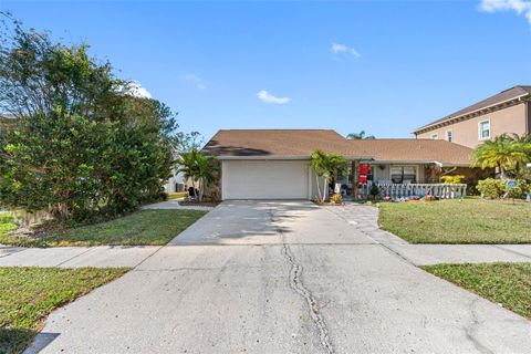 A home in TAMPA