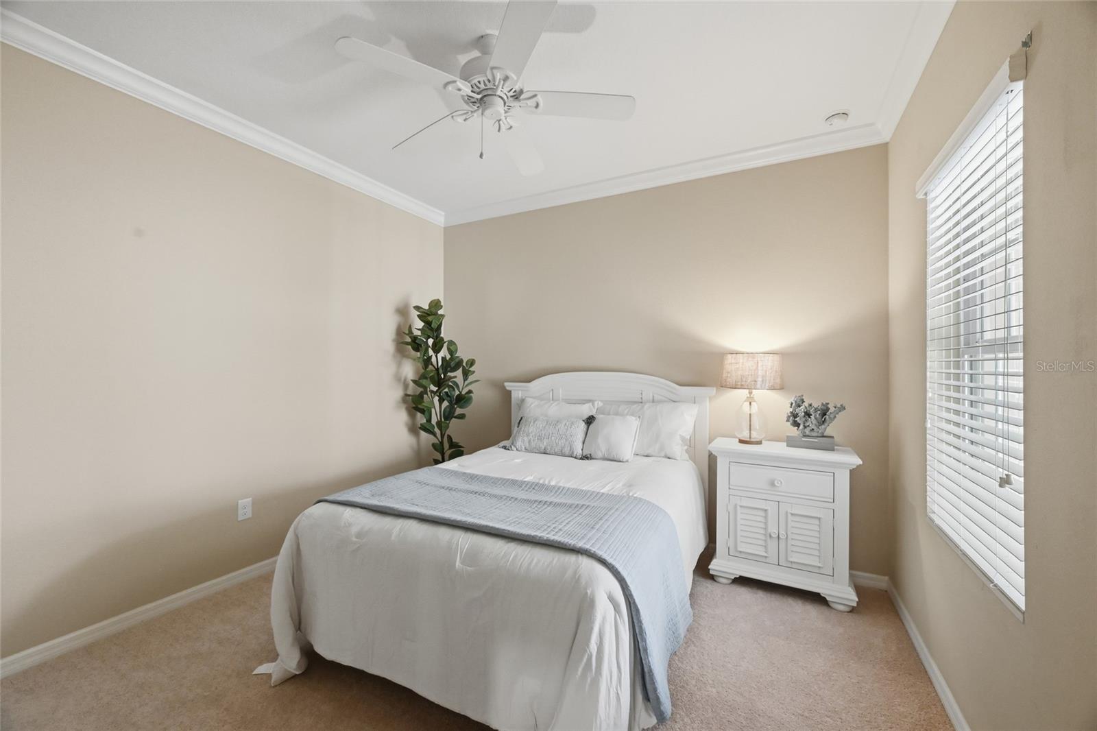 MIRABELLA AT VILLAGE GREEN - Residential