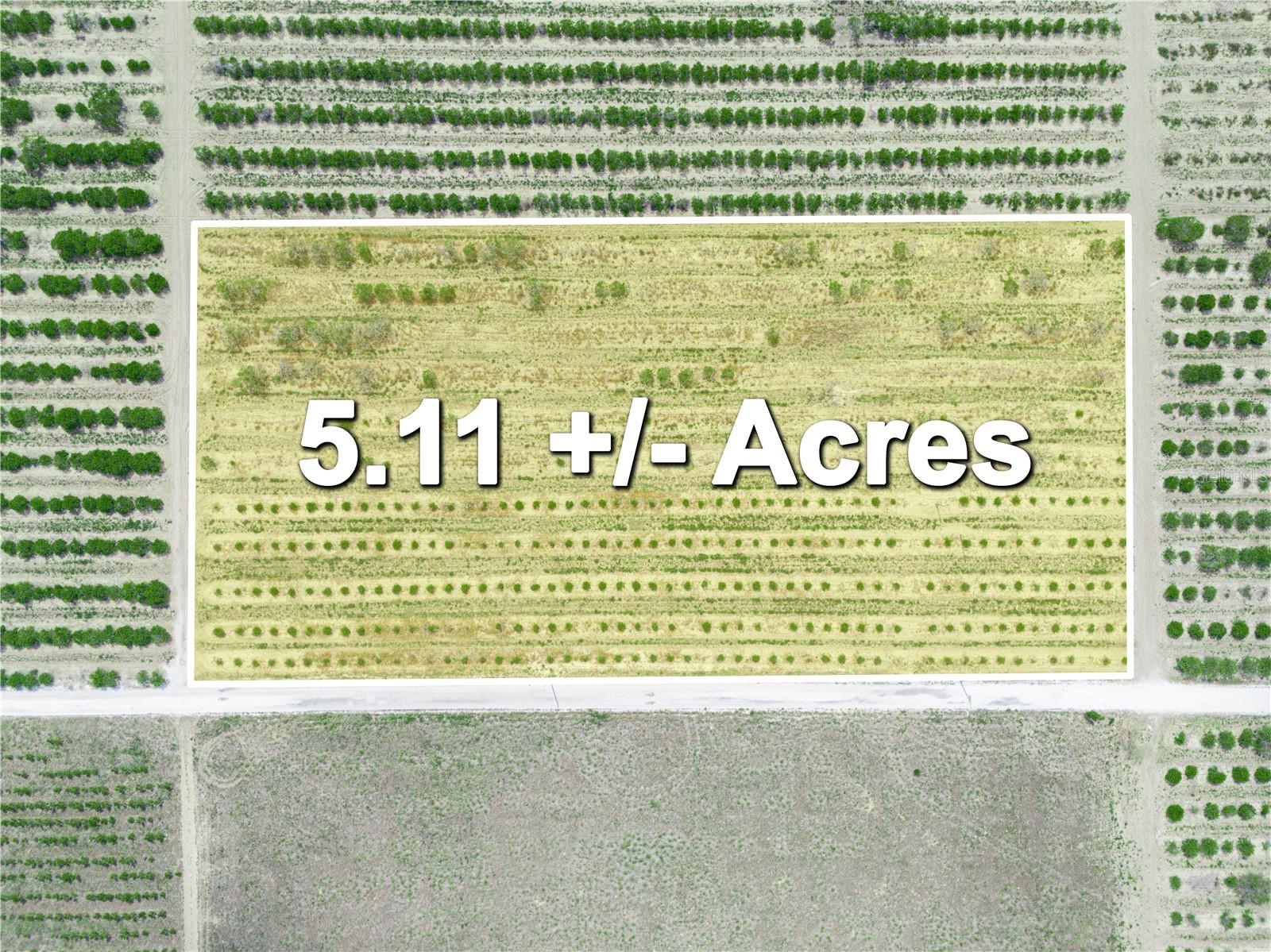 This 5.11 acre parcel is currently planted in citrus and is surrounded by citrus on all 4 sides but has 667 feet of frontage on Gilbert Road. The property has a working well used to irrigate the grove. The property is near Lake Iris and Lake Aurora, just East of Lake Wales with easy access to shopping and medical facilities. The property will need to have a septic system installed for residential. There are multiple golf courses and lakes nearby with public access. Legoland Florida is only 30 minutes away with the East Coast and West Coast beaches of Florida a short drive away making a day trip the the beach possible.