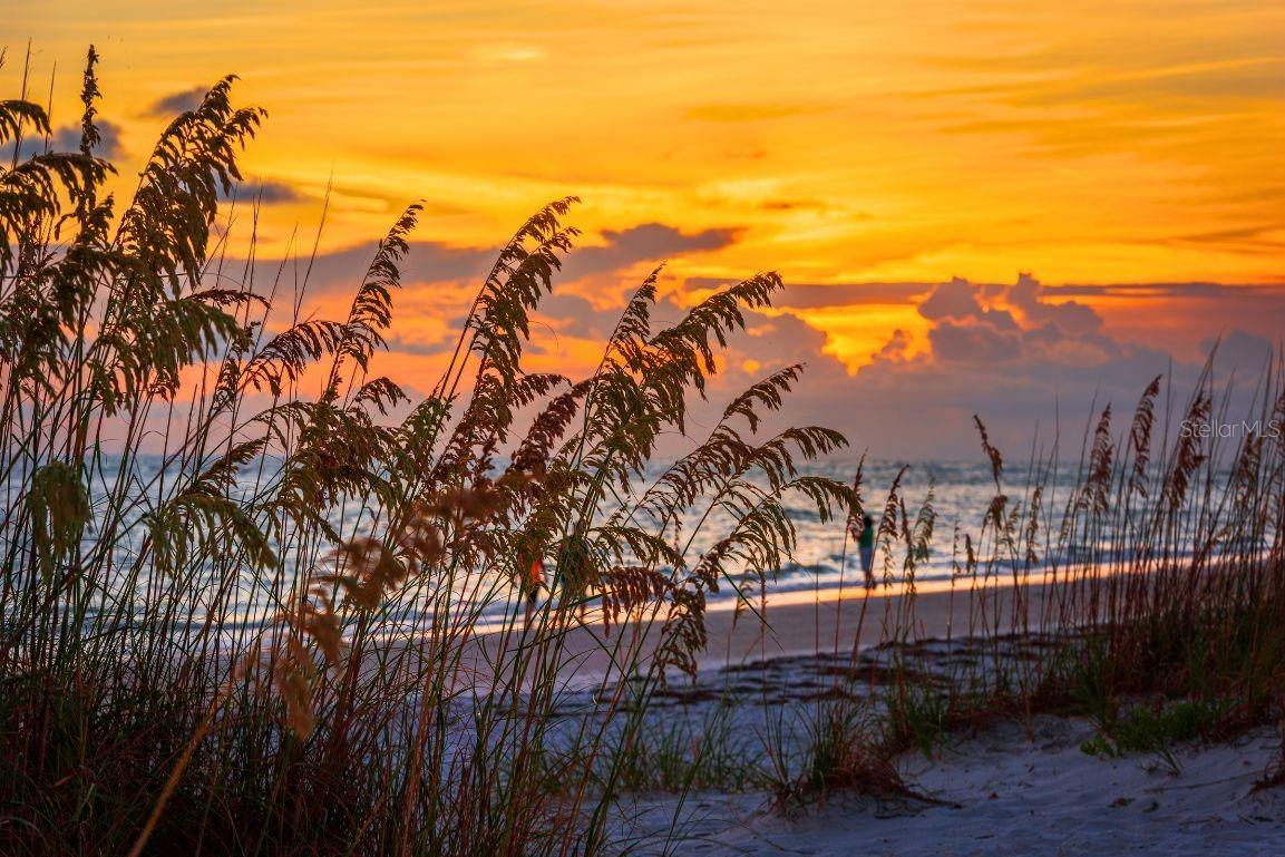 JEFFERSON CLUB - Residential