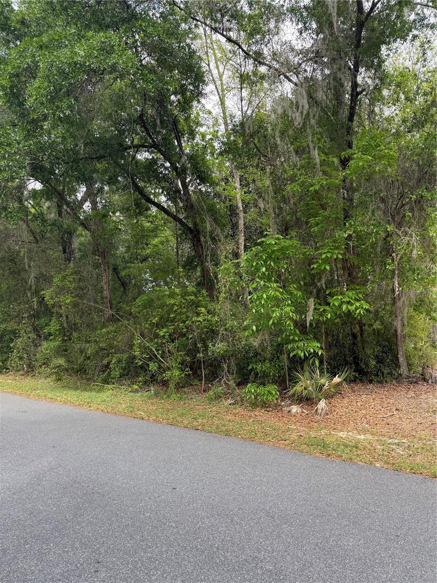 SILVER SPRING SHORES UNIT 55 - Land