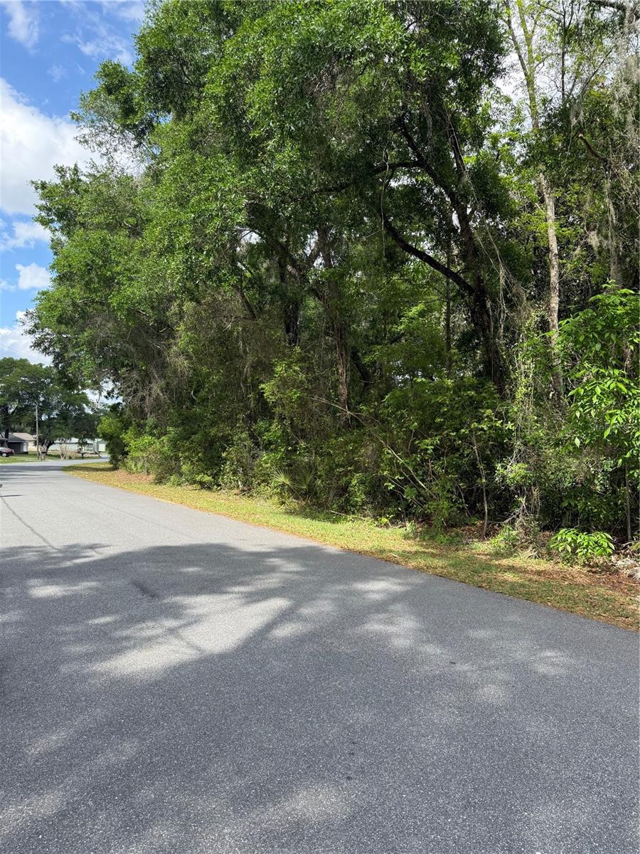 SILVER SPRING SHORES UNIT 55 - Land