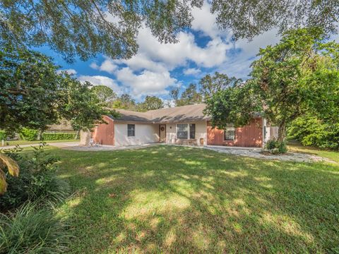 A home in EUSTIS