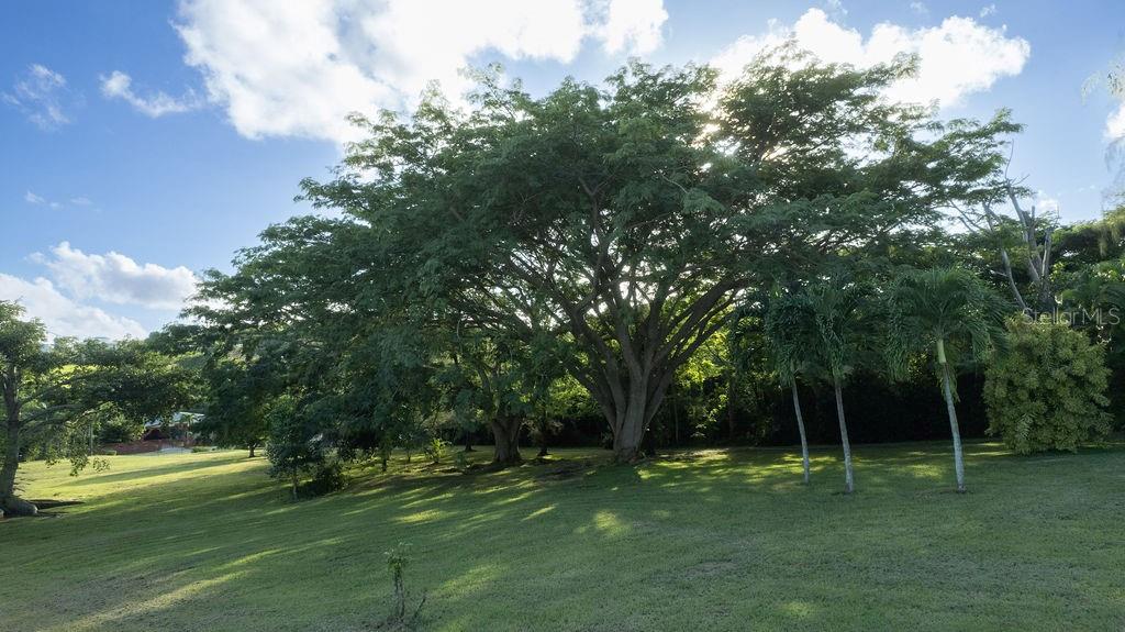 BO. PILÓN - Residential