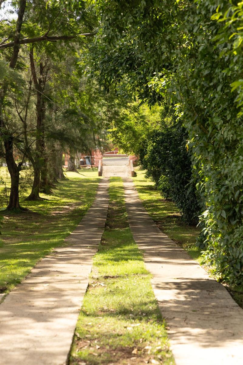 BO. PILÓN - Residential