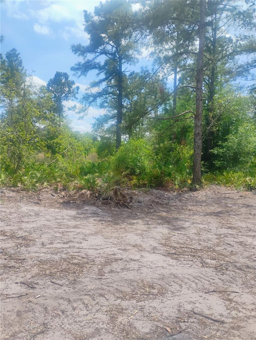 This vacant lot is located in the sought-after Dora Pines subdivision in Mount Dora, Florida. The property offers a serene, wooded setting, providing an ideal space for your future plans. It is conveniently situated near US 441 and just minutes from downtown Mount Dora, allowing you to enjoy all the festivals, shopping, dining, and events this charming town is known for. Additionally, the lot offers easy access to Orlando, with Disney World only 40-50 minutes away by car. PROPERTY IS PLATTED, BUT PLEASE NOTE THAT THIS LAND IS UNIMPROVED AND ON A DIRT ROAD PORTION OF THE SUBDIVISION. BUYER RECOMMENDED TO CONDUCT SURVEY TO CONFIRM PROPERTY LINE. ANY INQUIRIES ON THE USE OF THIS PROPERTY SHOULD BE MADE TO LAKE COUNTY PLANNING AND ZONING.