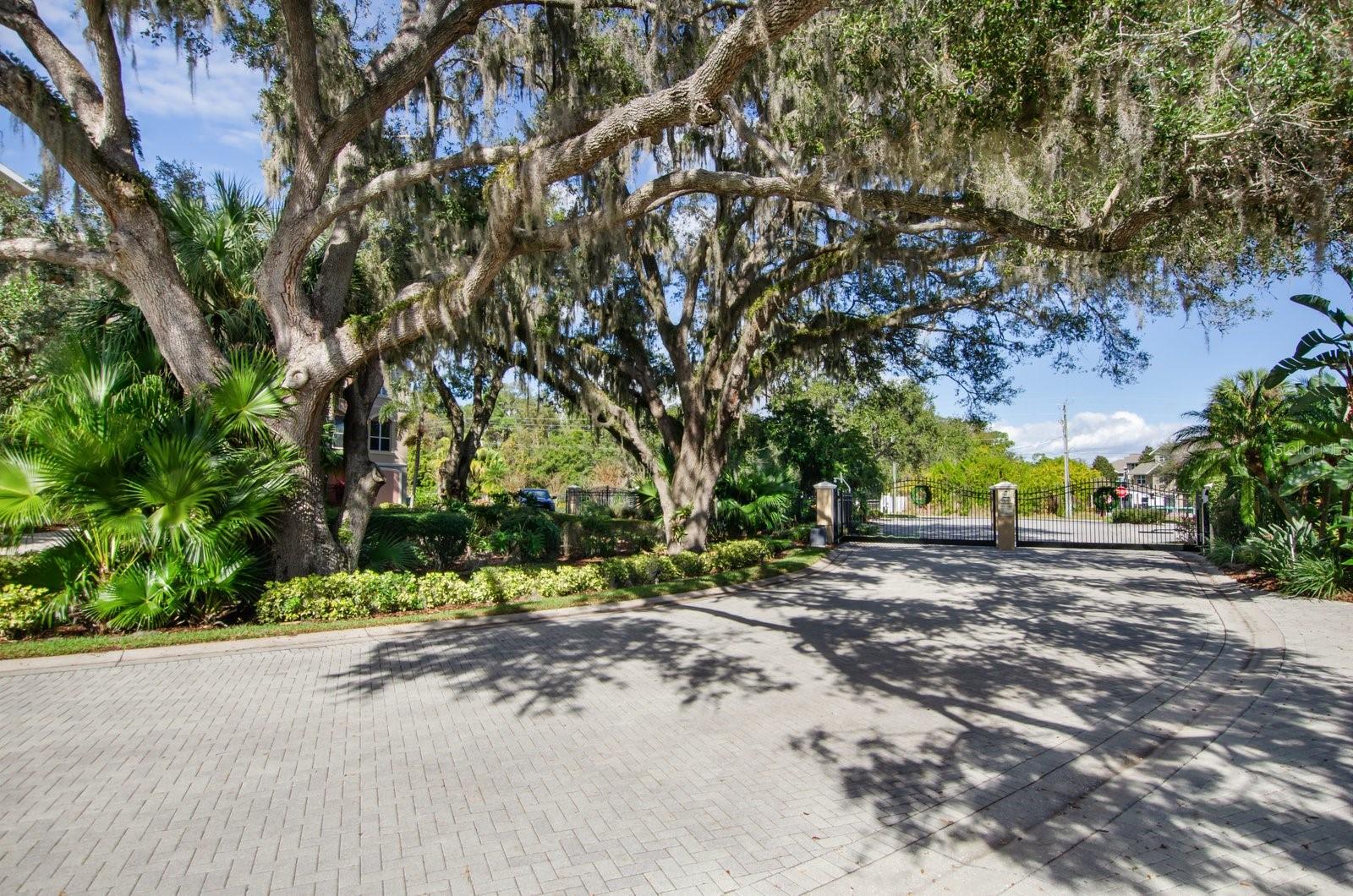 GRANDE OAKS PRESERVE - Residential