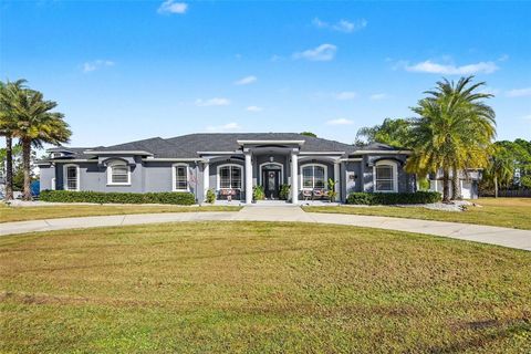 Photo of 2795 Fawn Lake Boulevard, Mims, FL 32754 (MLS # O6372236)