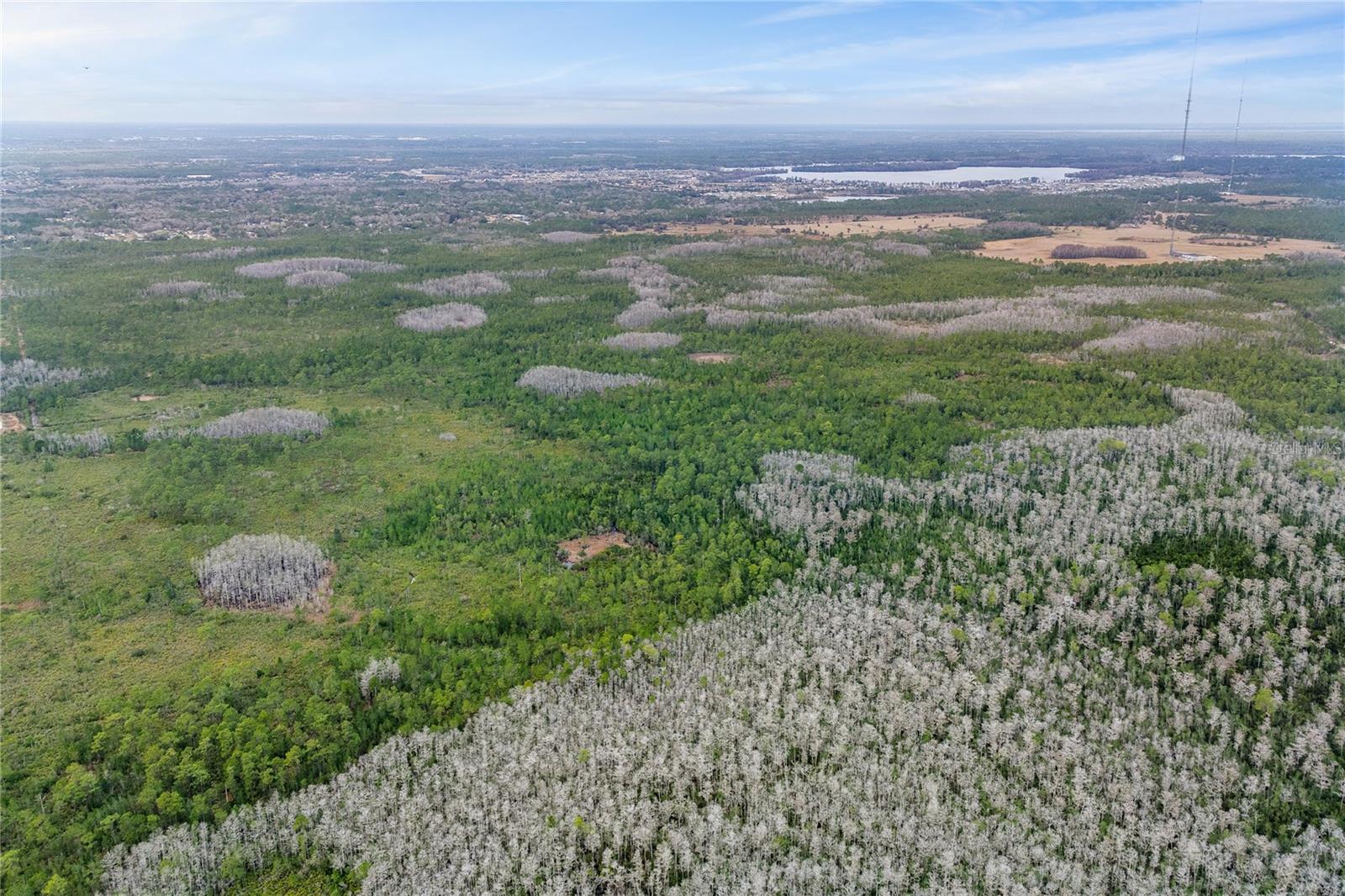 ORANGE CO ACRES UNREC - Land