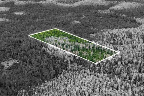 DILL ROAD ORLANDO FL 32820