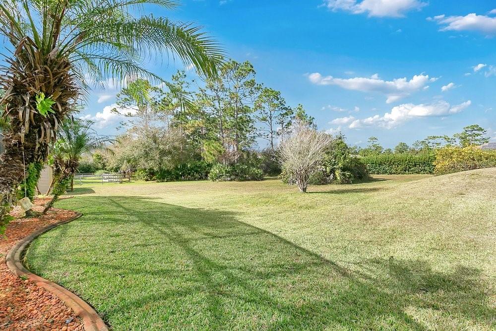 CAPE ORLANDO ESTATES - Residential