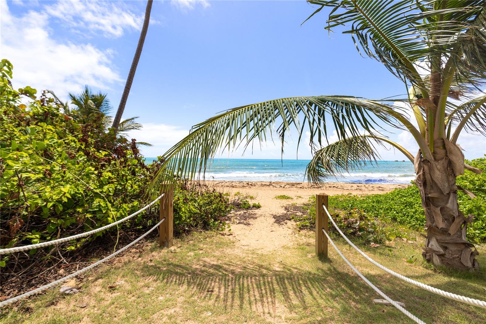 . CANDELERO DRIVE A303