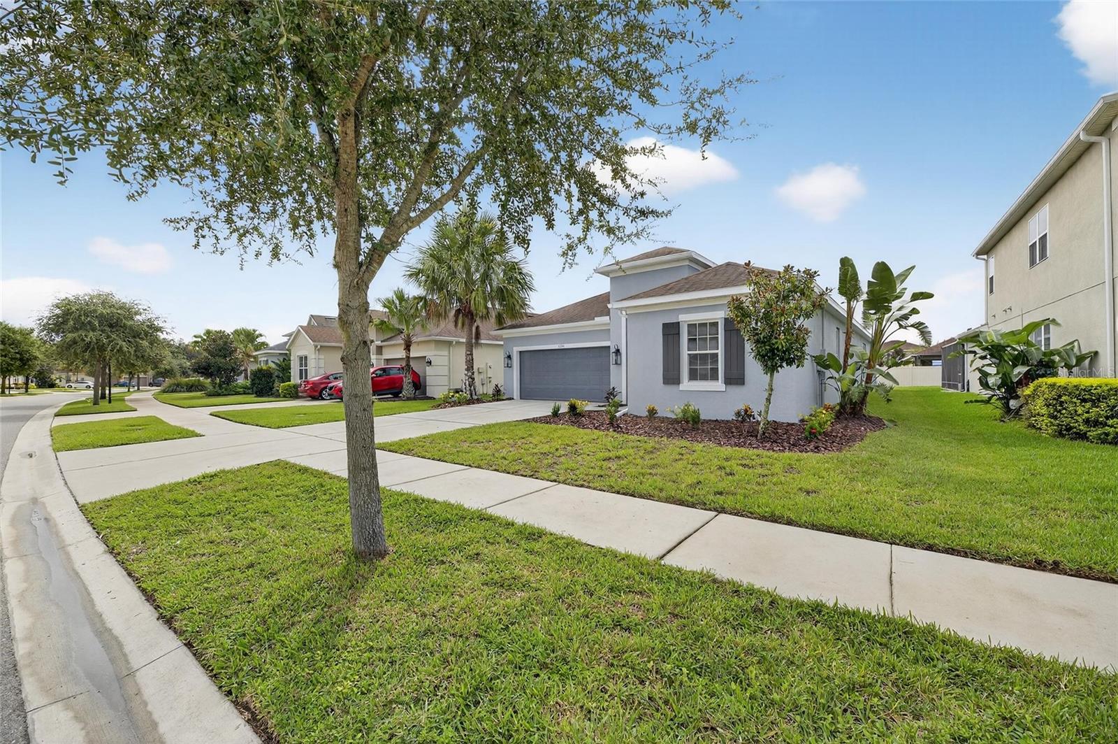 17724 BRIGHT WHEAT DRIVE