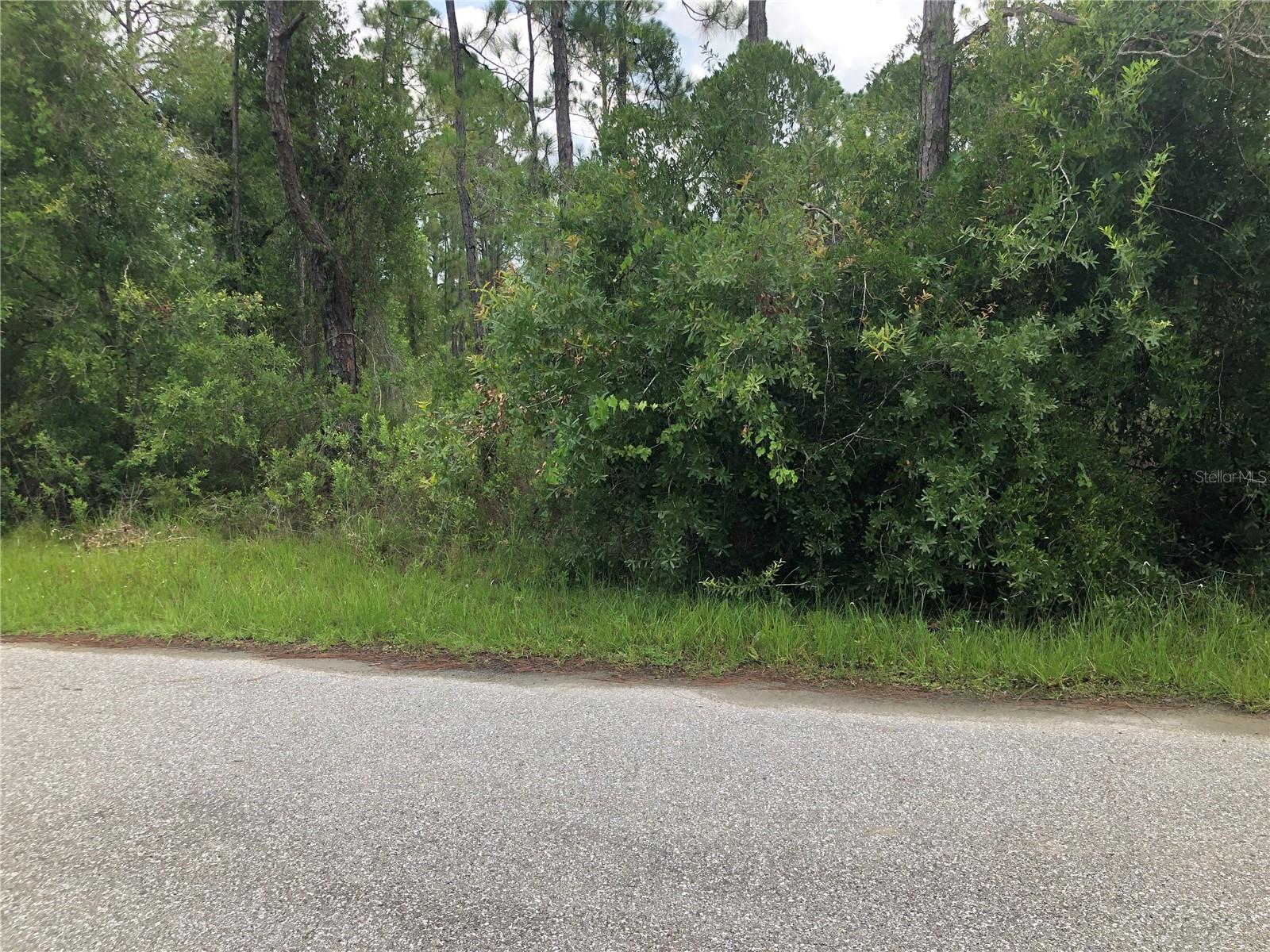 PORT CHARLOTTE SUB 31 - Land