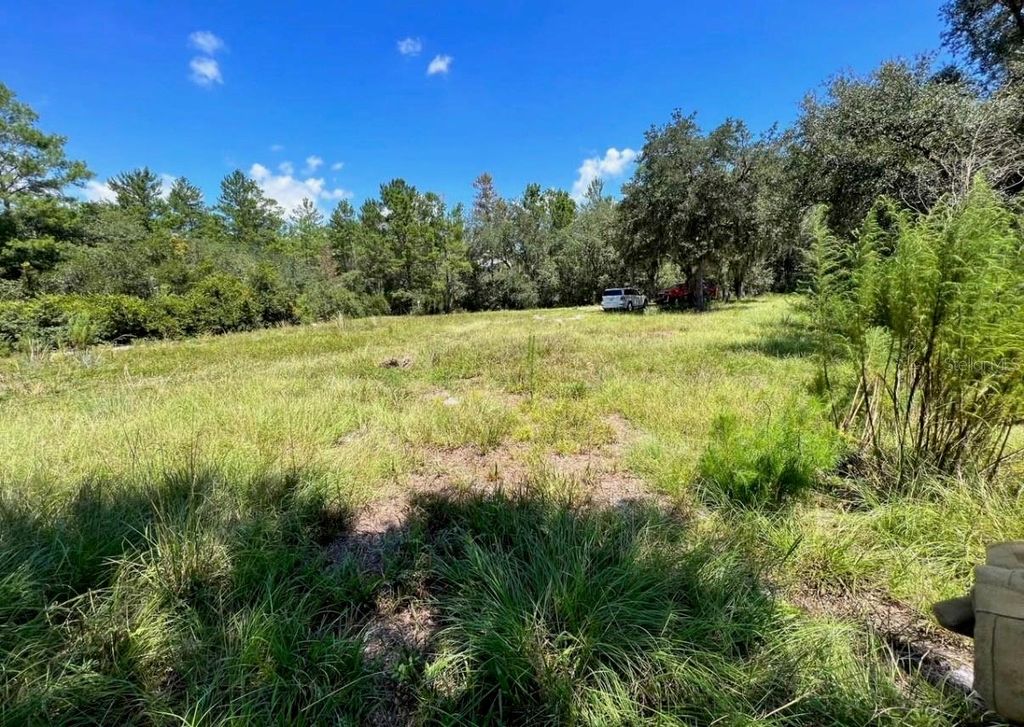 Photo of Steward Road, Eustis, FL 32726 (MLS # G5105750)