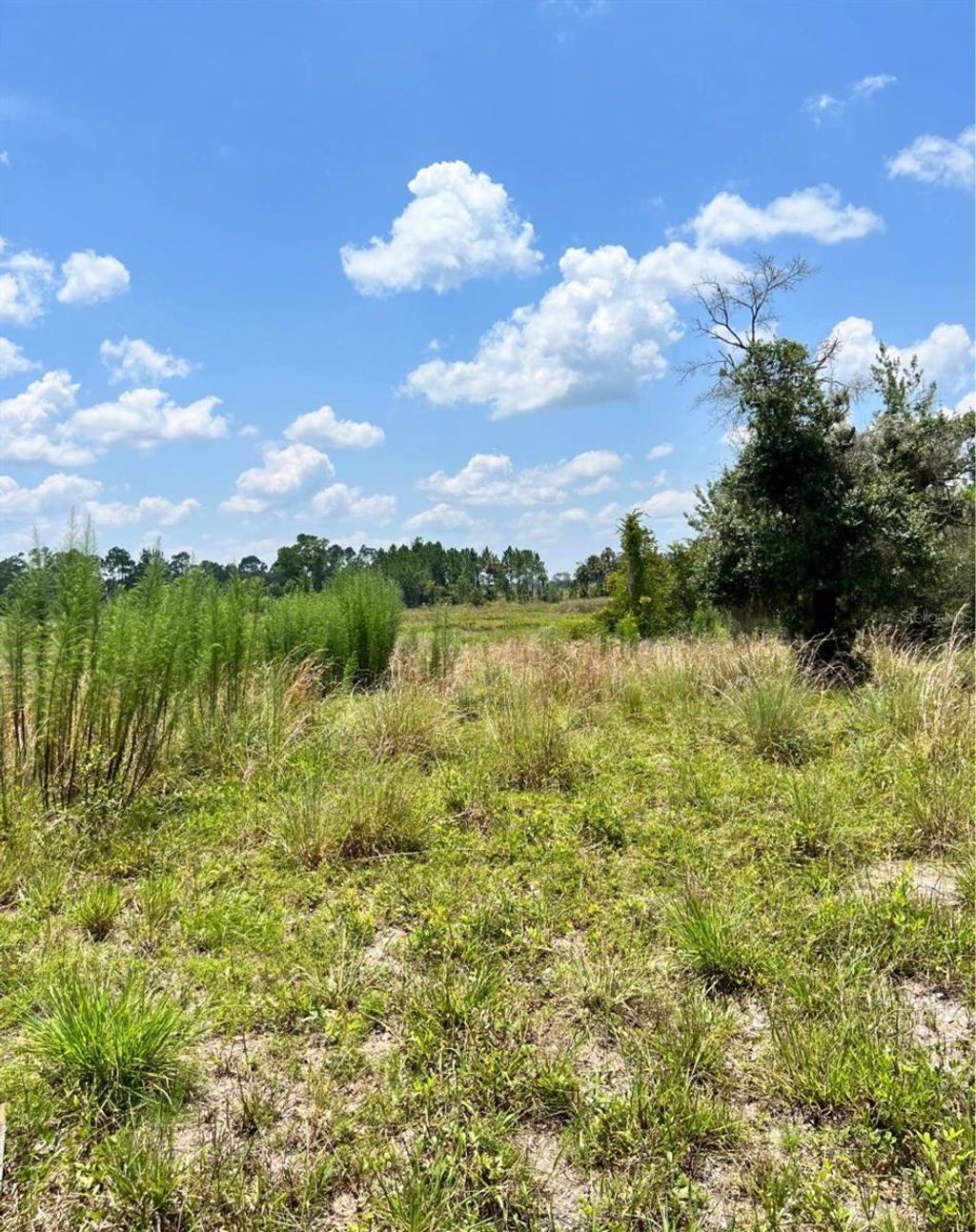 Photo of Steward Road, Eustis, FL 32726 (MLS # G5105750)