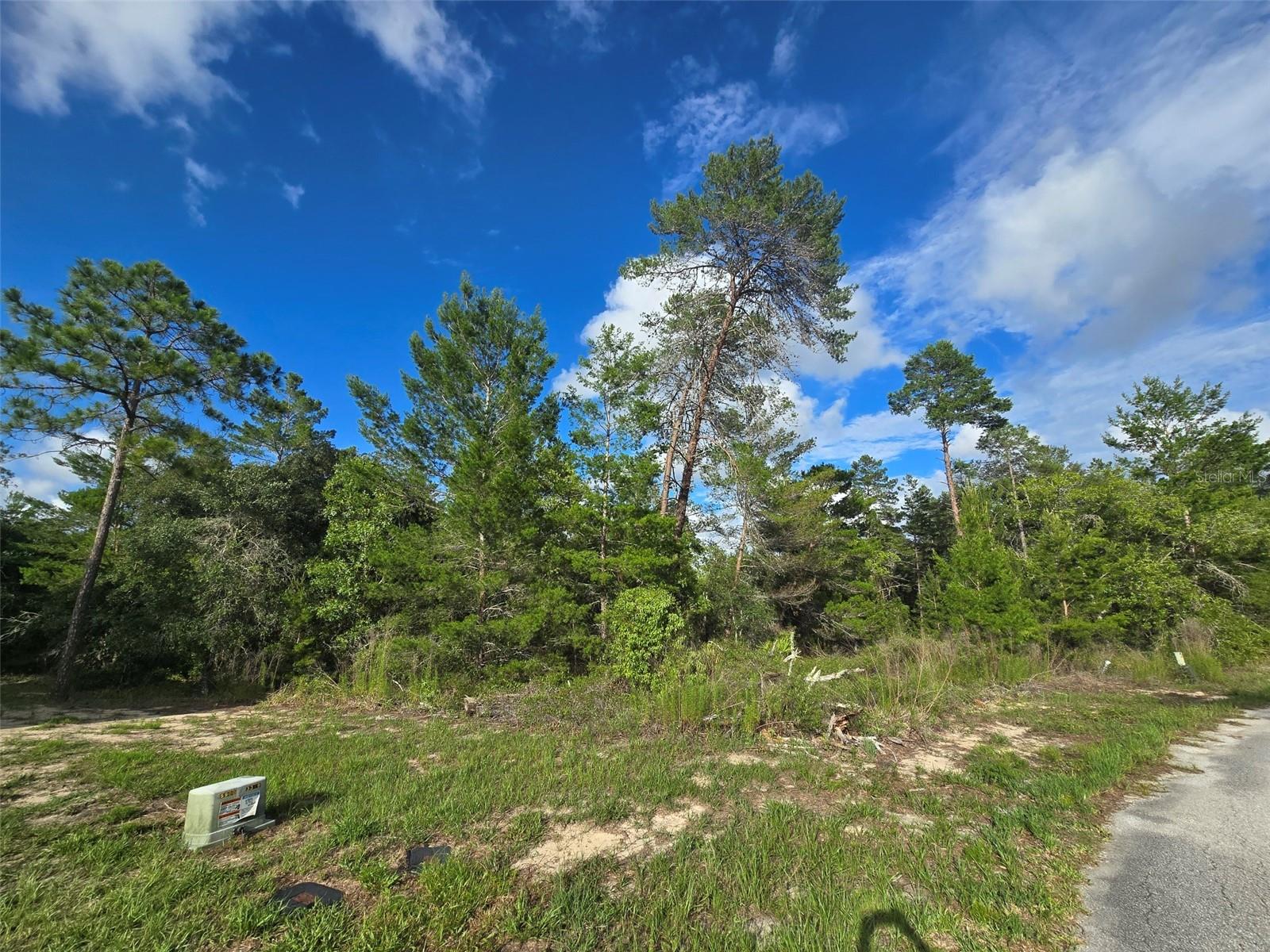 SUGARMILL WOODS OAK VILLAGE - Residential