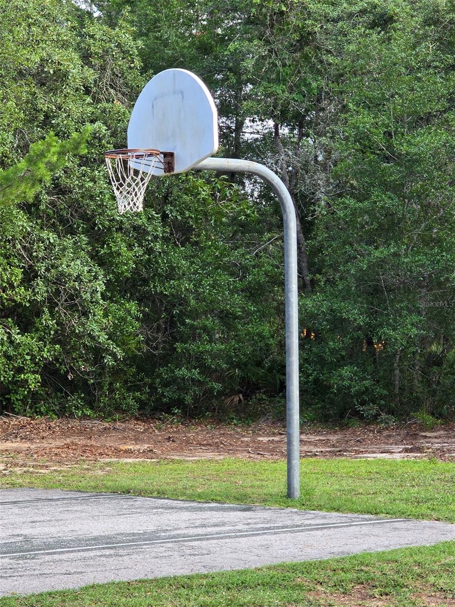 SUGARMILL WOODS OAK VILLAGE - Residential