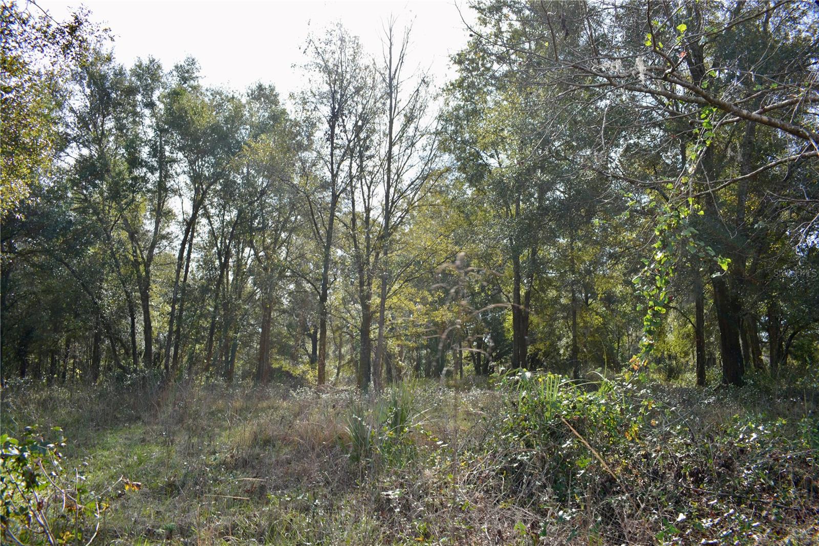 LAKEVIEW XINGS-PH 3 - Land