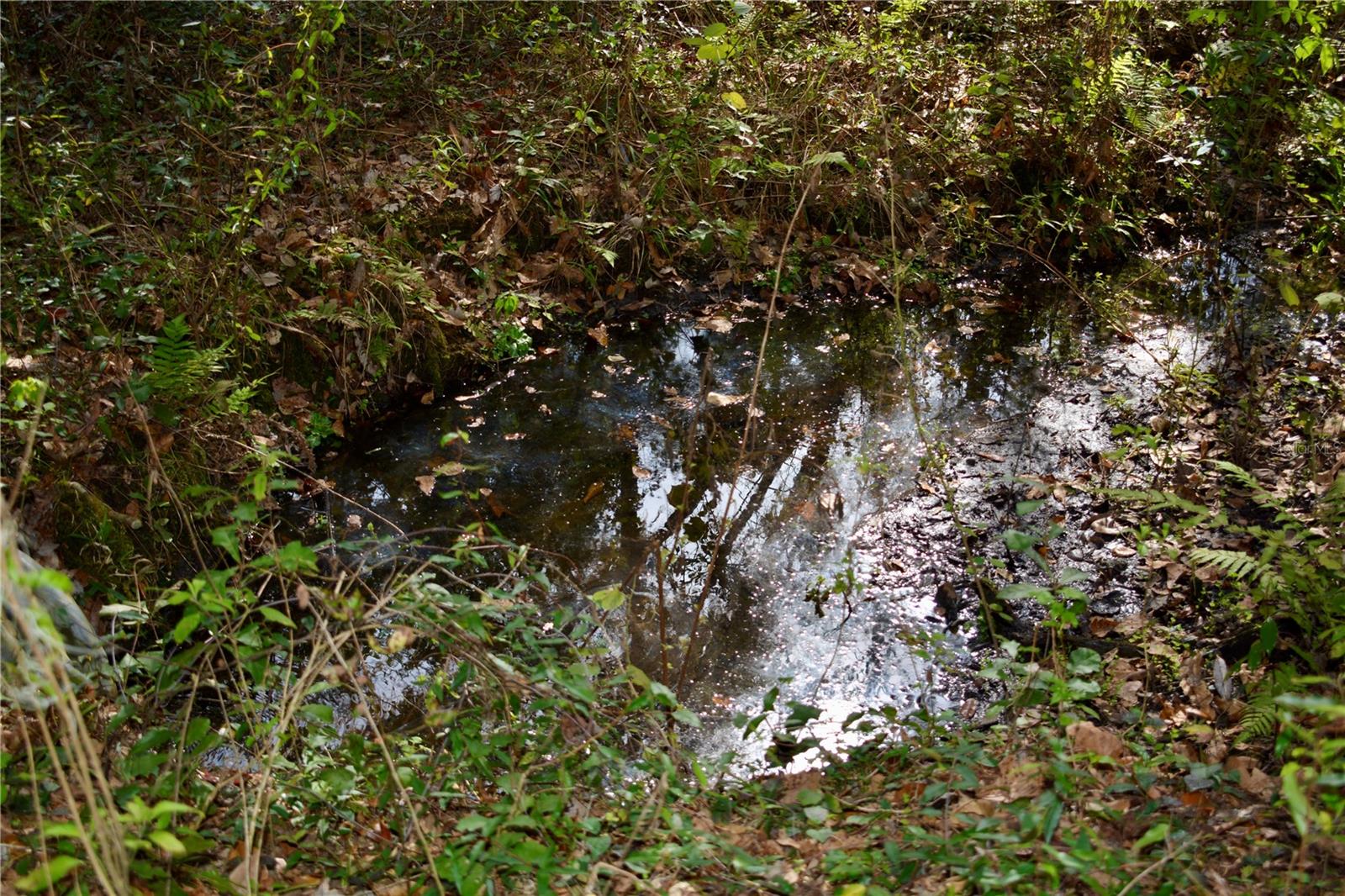 LAKEVIEW XINGS-PH 3 - Land