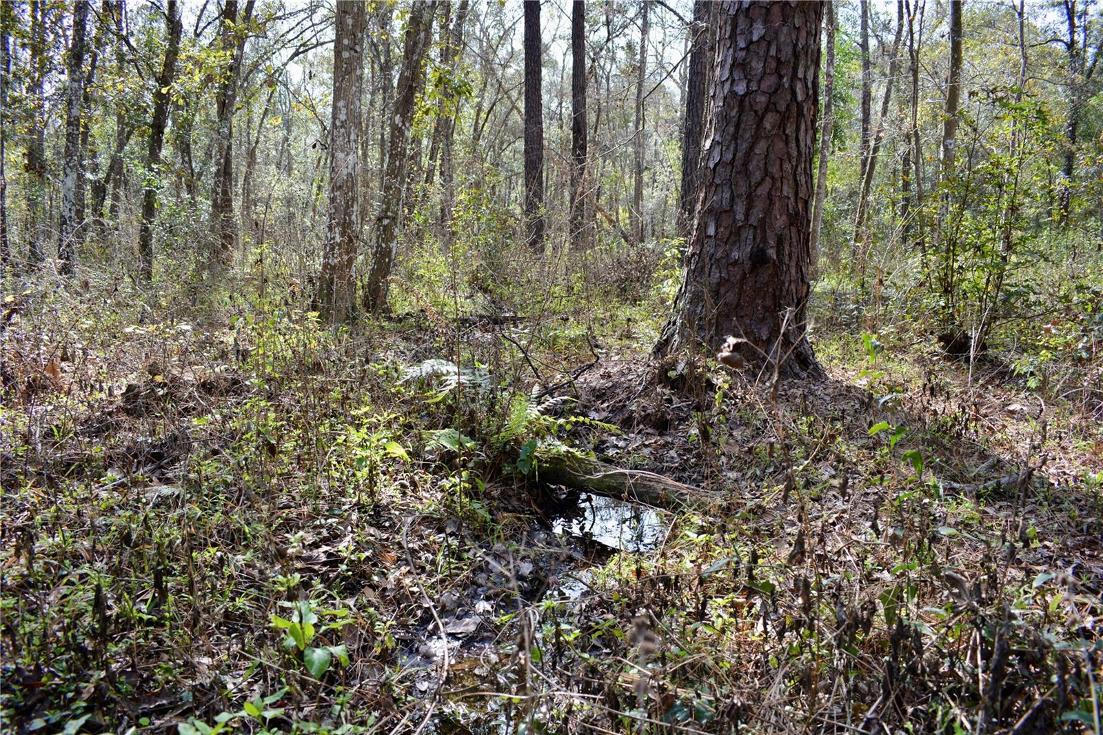 LAKEVIEW XINGS-PH 3 - Land