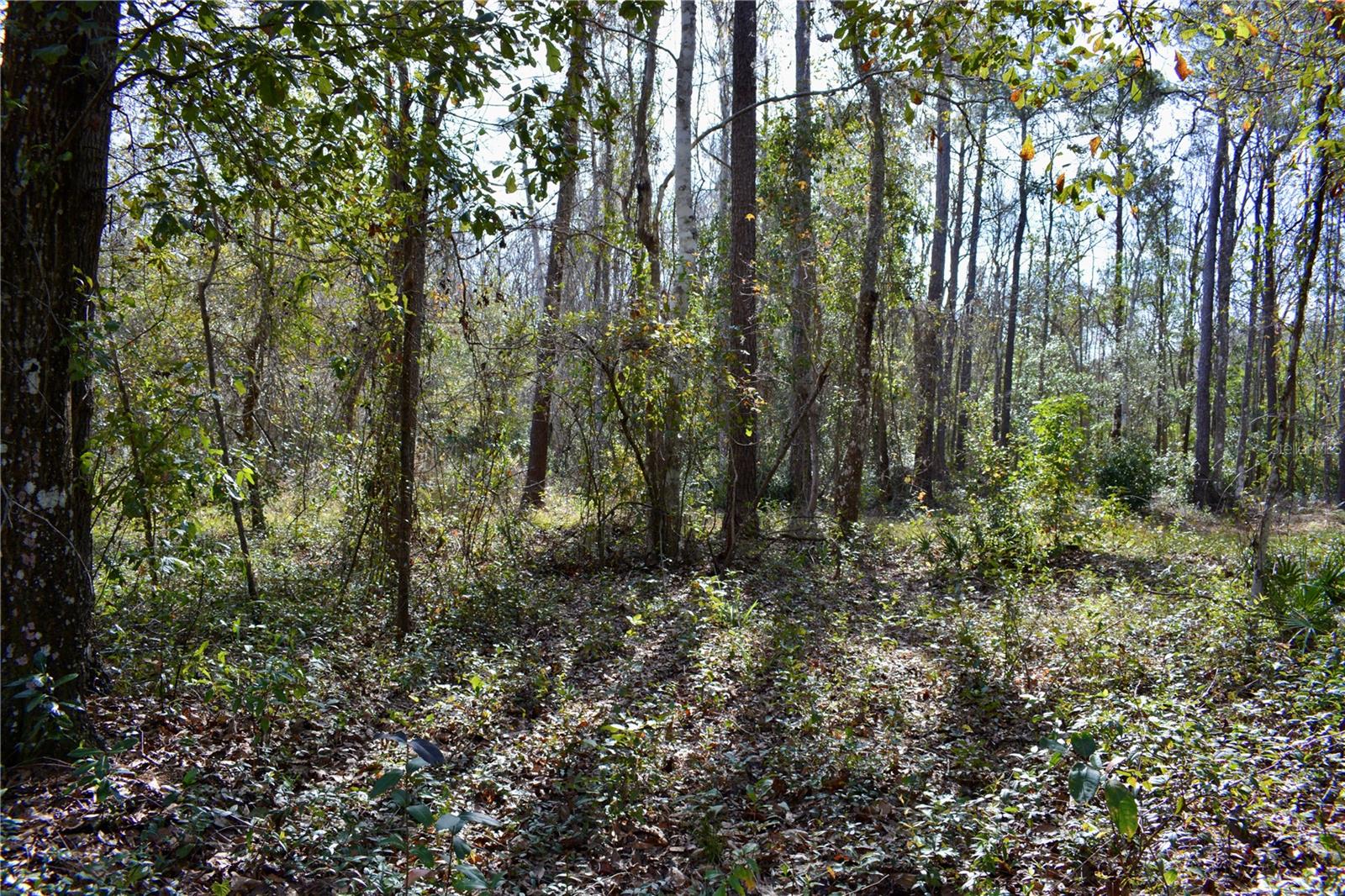 LAKEVIEW XINGS-PH 3 - Land