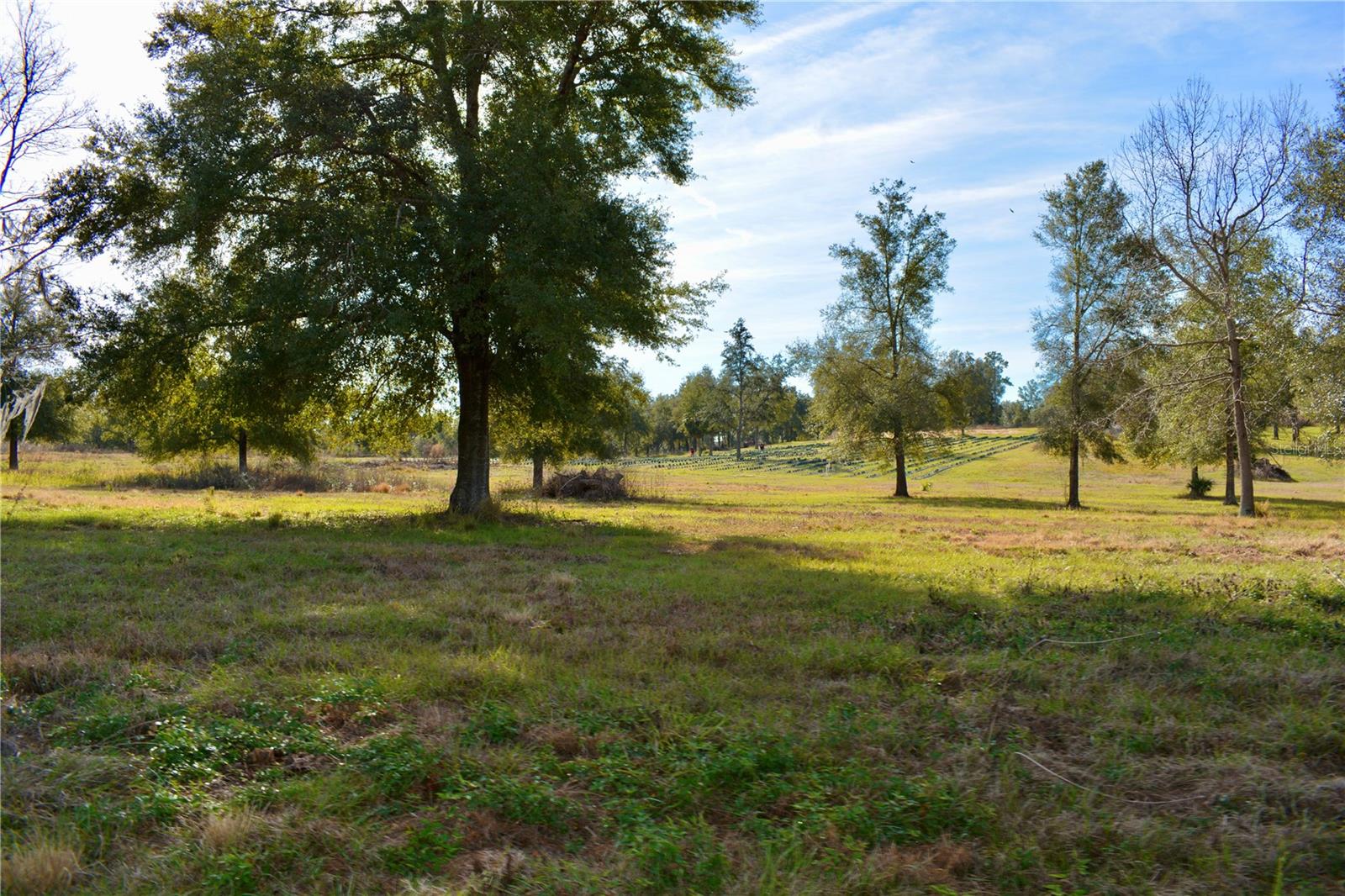 LAKEVIEW XINGS-PH 3 - Land