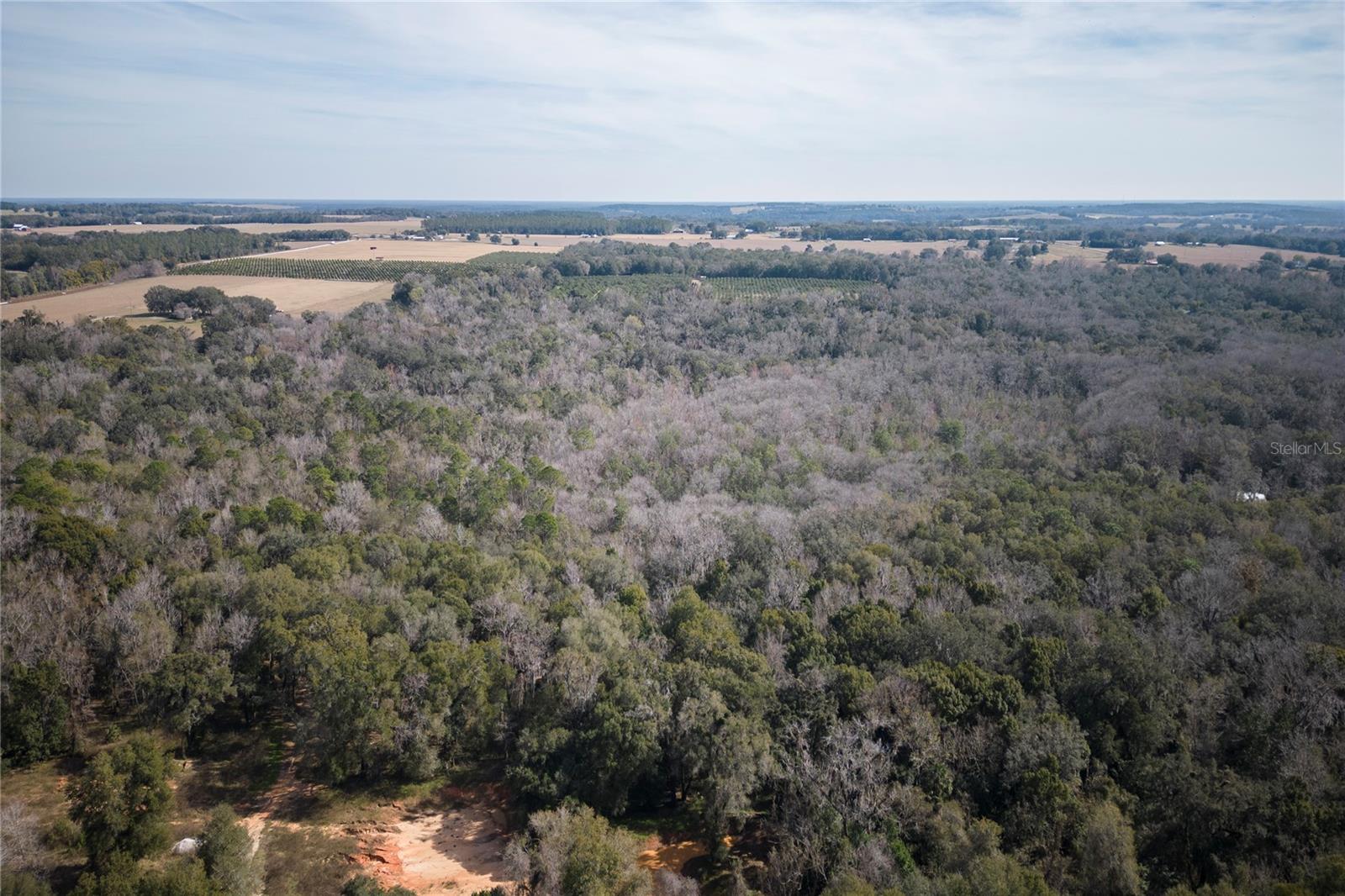 LAKEVIEW XINGS-PH 3 - Land