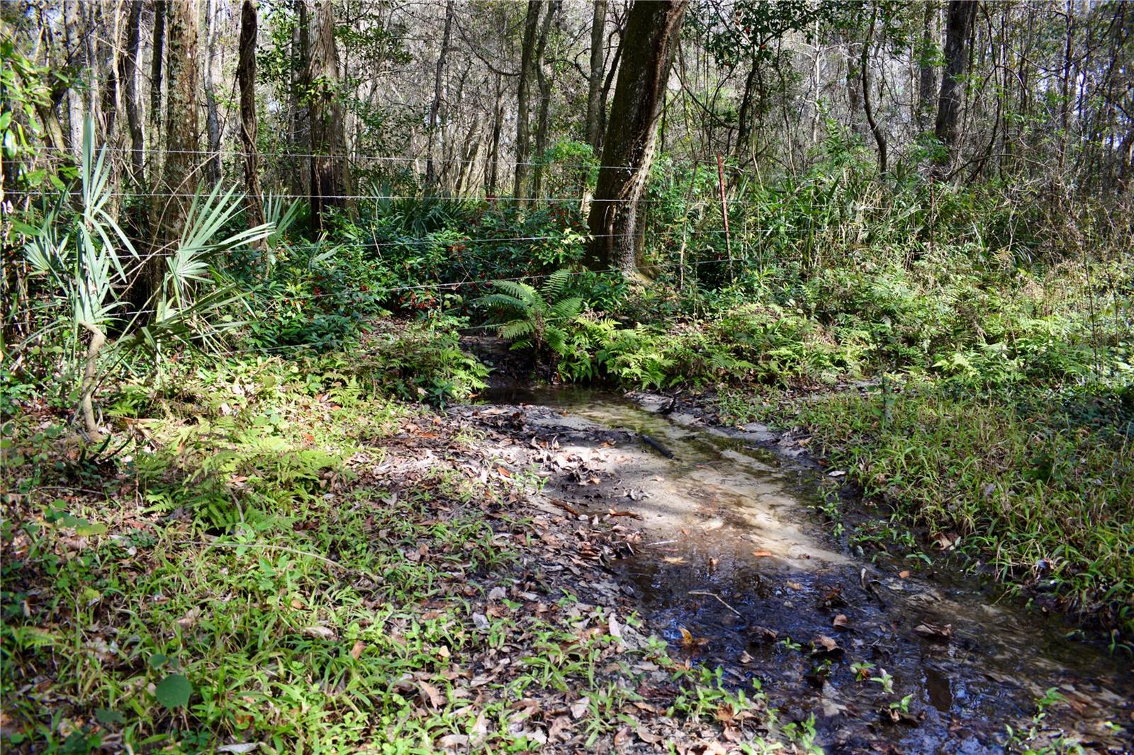 LAKEVIEW XINGS-PH 3 - Land